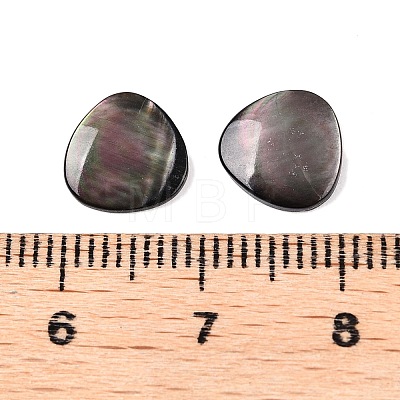 Natural Black Lip Shell Cabochons SSHEL-T017-09-1