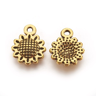 Tibetan Style Alloy Charms X1-GLF10257Y-NF-1