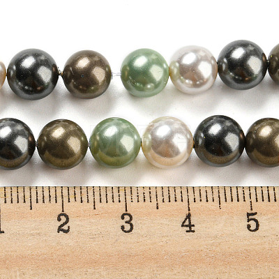 Polished Shell Pearl Bead Strands BSHE-F013-07D-1