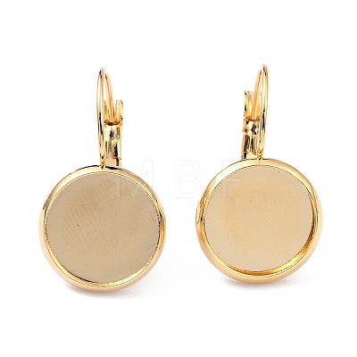 304 Stainless Steel Leverback Earring Settings X-STAS-F191-03G-10mm-1