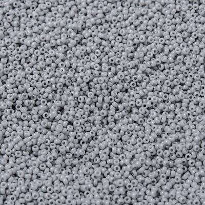 MIYUKI Round Rocailles Beads X-SEED-G009-RR0498-1