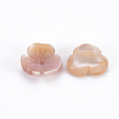 Natural Pink Shell Beads SSHEL-N034-119A-01-1