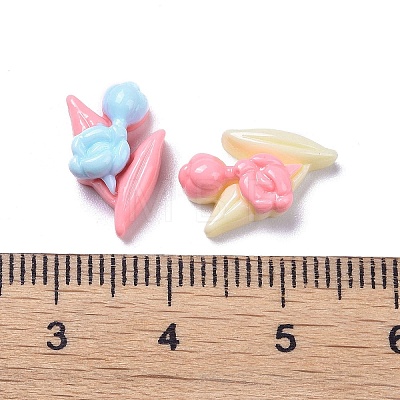 Opaque Cute Resin Decoden Cabochons RESI-B024-03M-1