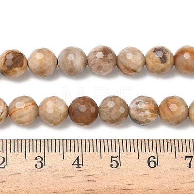 Natural Petrified Wood Beads Strands G-L642-F09-8mm-1