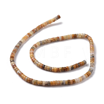 Natural Crazy Agate Beads Strands G-P468-09-1