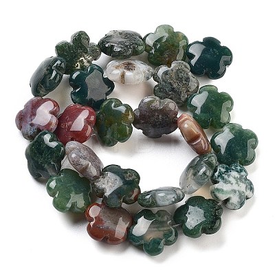 Natural Indian Agate Beads Strands G-F769-K01-01-1