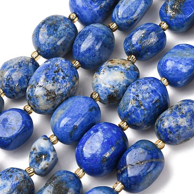 Natural Lapis Lazuli Beads Strands G-G453-D11-01-1