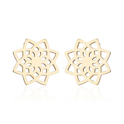 304 Stainless Steel Stud Earrings WGE2D60-07-1