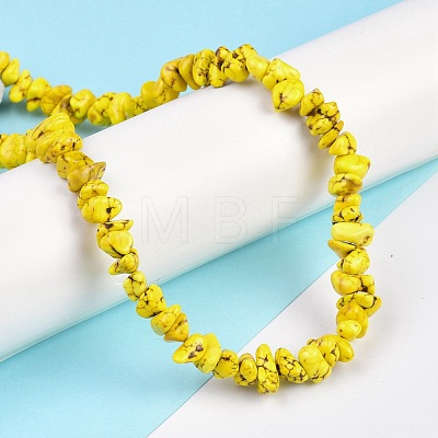 Natural Magnesite Beads Strands TURQ-P001-02A-05-1