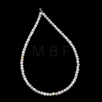 Natural Freshwater Shell Beads Strands SH-CBA2978-07D-02-1