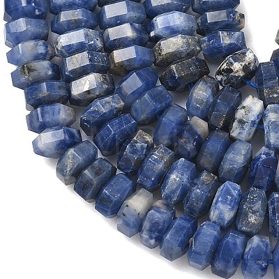 Natural Sodalite Beads Strands G-L654-I12-01-1