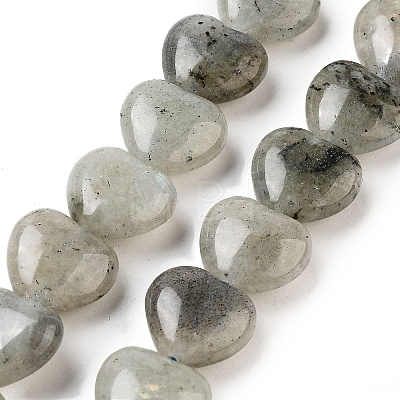 Natural Labradorite Beads Strands G-B022-32C-1