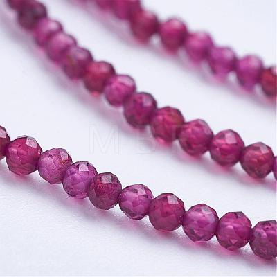 Natural Garnet Beads Strands G-E373-02A-1