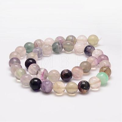 Natural Fluorite Bead Strands G-K153-B36-10mm-1