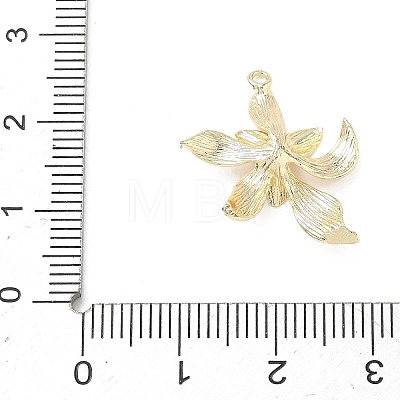 Brass Pendants KK-G601-05G-07-1