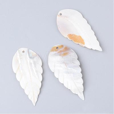 Freshwater Shell Big Pendants SHEL-S249-10-1