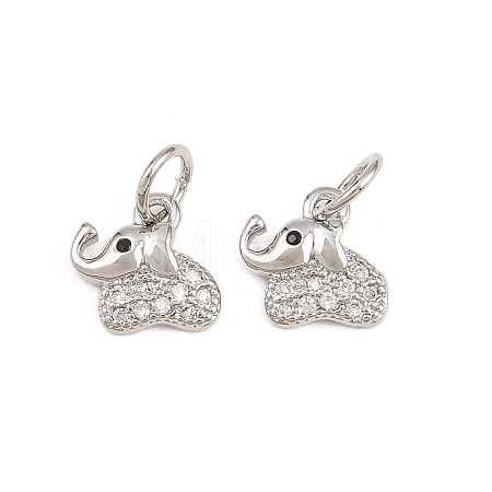 Brass Micro Pave Clear Cubic Zirconia Charms KK-H292-56C-P-1