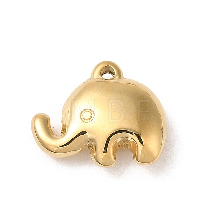 304 Stainless Steel Charms STAS-L022-308G-1