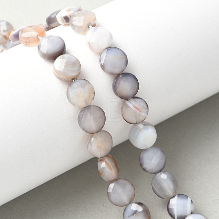 Natural Grey Botswana Agate Beads Strands G-C179-A50-03-1