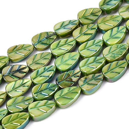 Natural Freshwater Shell Carved Beads Strands SHEL-N038-25C-1