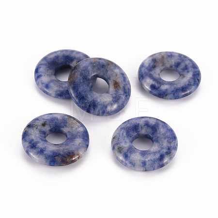 Natural Blue Spot Jasper Pendants G-T122-66E-1