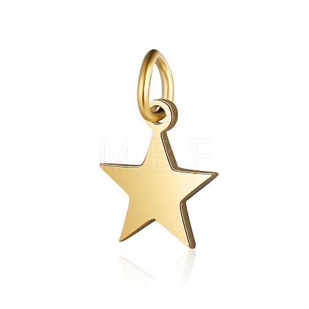 201 Stainless Steel Charms STAS-S105-T554D-8-2-1