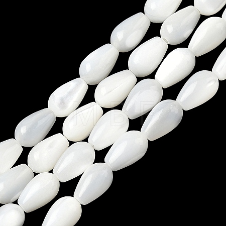 Natural White Shell Beads Strands SH-CBAF49A-03-1