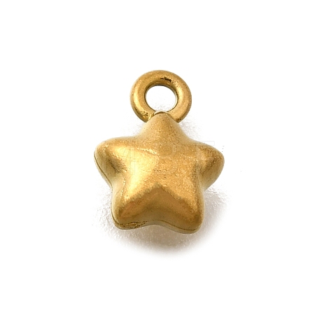 304 Stainless Steel Charms X-STAS-D310-06G-05-1