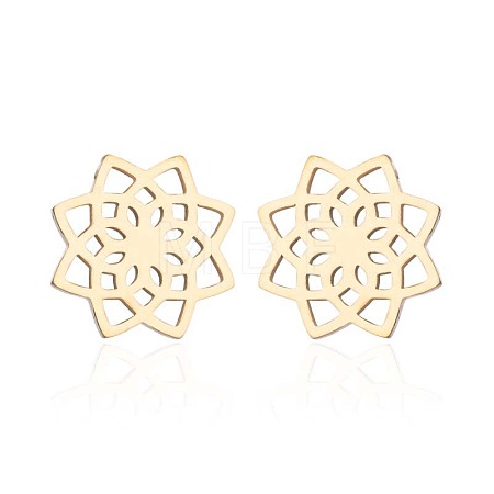 304 Stainless Steel Stud Earrings WGE2D60-07-1
