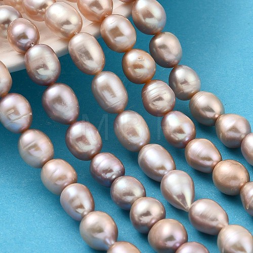 Natural Cultured Freshwater Pearl Beads Strands PEAR-I007-01F-07C-1