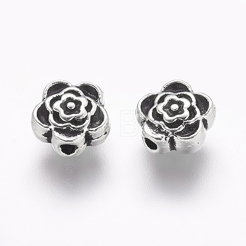 Tibetan Style Alloy Beads LF0590Y-NF-1