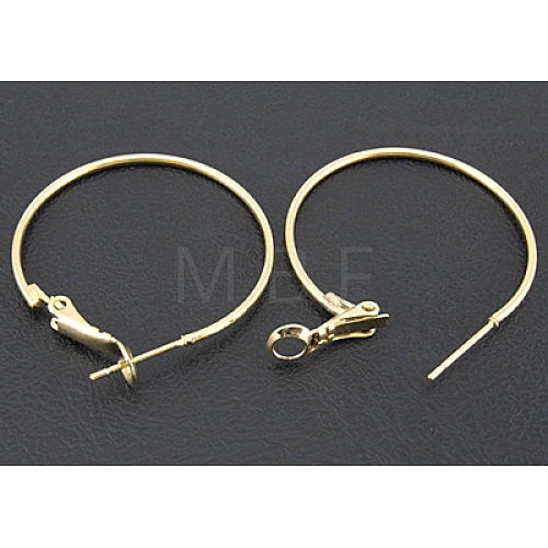 Golden Brass Hoop Earrings X-EC108-3NFG-1