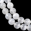Natural Selenite Beads Strands G-G167-A01-01-4