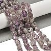 Natural Purple Phantom Quartz Purple Lodolite Quartz Beads Strands G-P497-01E-39A-2