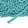 TOHO 6/0 Round Beads X-SEED-TR06-0055-2