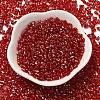 Spray Painted Glass Seed Beads SEED-F005-06A-05-2