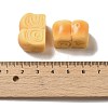 Opaque Resin Imitation Food Decoden Cabochons RESI-A033-05E-3