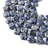 Natural Blue Spot Jasper Beads Strands G-H344-B02-01-4