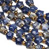 Natural Sodalite Beads Strands G-Z080-A28-8mm-4