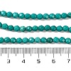 Natural Howlite Beads Strands G-C025-02C-08-5