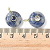 Natural Blue Spot Jasper Flat Round Pendants G-H318-01G-07-3