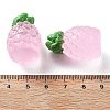 Luminous Resin Cabochons CRES-D277-03D-02-4