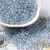 6/0 Transparent Colours Glass Seed Beads SEED-P006-01A-13-1