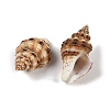 Natural Spiral Shell Beads SHEL-K009-17C-2