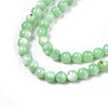 Natural Freshwater Shell Beads Strands X-SHEL-N003-24-B03-3
