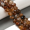 Natural Red Agate Beads Strands G-NH0017-B03-02-2