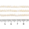 Natural Trochus Shell Beads Strands SHEL-P017-05-4