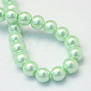 Baking Painted Pearlized Glass Pearl Round Bead Strands HY-Q003-6mm-04-3