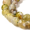 Dyed & Heated Natural Fire Crackle Agate Beads Strands G-P539-C01-01-4