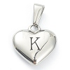 304 Stainless Steel Pendants LS-STAS-P278-01K-P-1